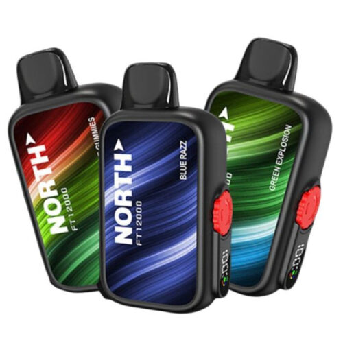 VAPER NORTH Vape FT12000