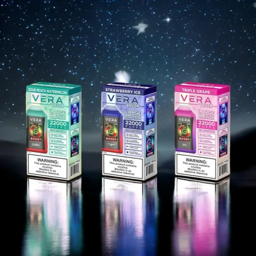 VAPER VERA VR 22000 PUFF